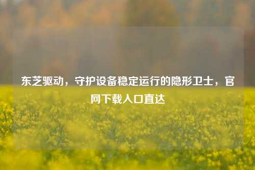 东芝驱动，守护设备稳定运行的隐形卫士，官网下载入口直达