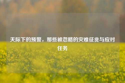 天际下的预警，那些被忽略的灾难征兆与应对任务