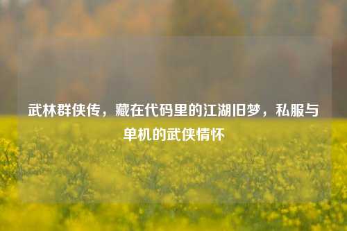 武林群侠传，藏在代码里的江湖旧梦，私服与单机的武侠情怀
