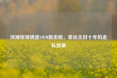 河滩惊现锈迹AWM狙击枪，牵出尘封十年的走私迷案