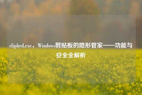 clipbrd.exe，Windows剪贴板的隐形管家——功能与安全全解析