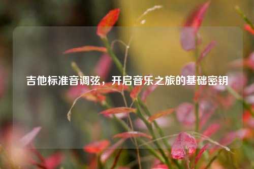 吉他标准音调弦，开启音乐之旅的基础密钥