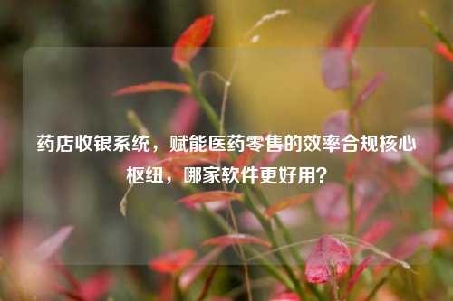 药店收银系统，赋能医药零售的效率合规核心枢纽，哪家软件更好用？