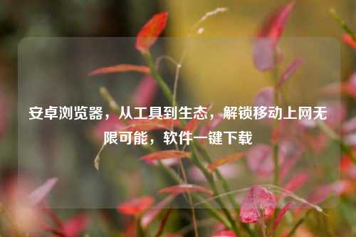 安卓浏览器，从工具到生态，解锁移动上网无限可能，软件一键下载