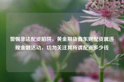 警惕非法配资陷阱，黄金期货鑫东财配资属违规金融活动，切勿关注其所谓配资多少钱