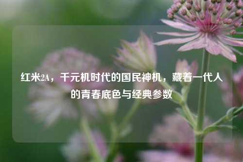 红米2A，千元机时代的国民神机，藏着一代人的青春底色与经典参数