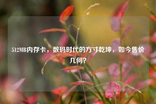 512MB内存卡，数码时代的方寸乾坤，如今售价几何？