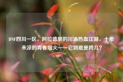 DNF四川一区，阿拉德里的川渝热血江湖，十年未凉的青春烟火——它到底是跨几？