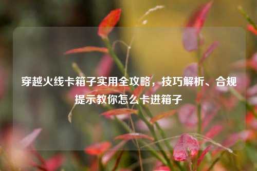 穿越火线卡箱子实用全攻略，技巧解析、合规提示教你怎么卡进箱子