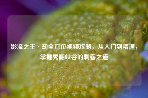 影流之主·劫全方位视频攻略,从入门到精通,掌握秀翻峡谷的刺客之道