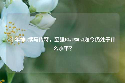 十年神U续写传奇，至强E3-1230 v3如今仍处于什么水平？
