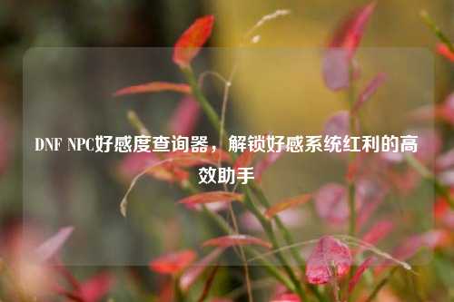 DNF NPC好感度查询器，解锁好感系统红利的高效助手