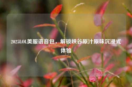 2025LOL美服语音包，解锁峡谷原汁原味沉浸式体验