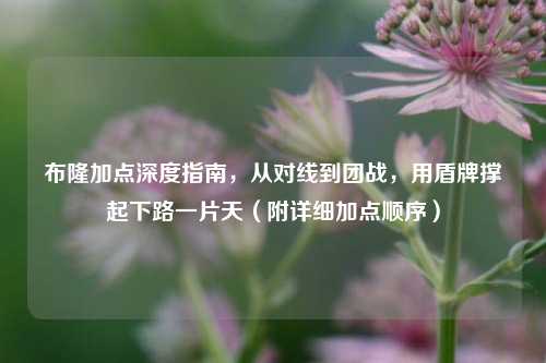 布隆加点深度指南，从对线到团战，用盾牌撑起下路一片天（附详细加点顺序）