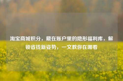 淘宝商城积分，藏在账户里的隐形福利库，解锁省钱新姿势，一文教你在哪看