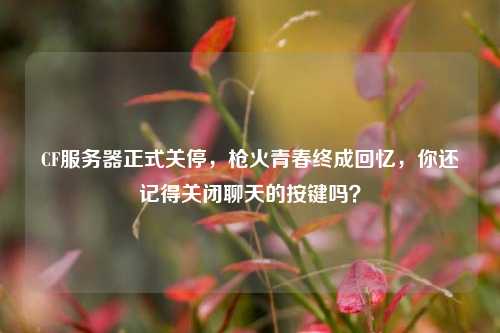 CF服务器正式关停，枪火青春终成回忆，你还记得关闭聊天的按键吗？
