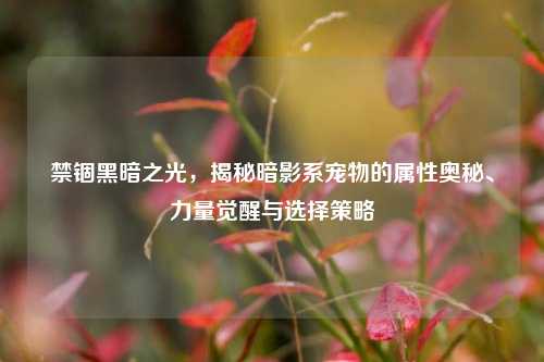 禁锢黑暗之光，揭秘暗影系宠物的属性奥秘、力量觉醒与选择策略