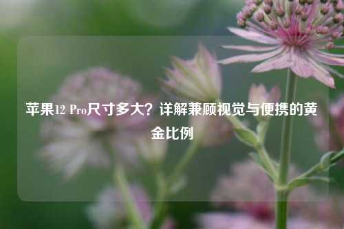 苹果12 Pro尺寸多大？详解兼顾视觉与便携的黄金比例