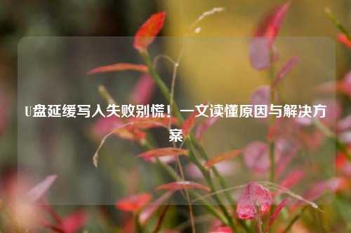 U盘延缓写入失败别慌！一文读懂原因与解决方案