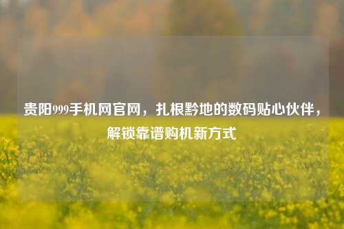 贵阳999手机网官网，扎根黔地的数码贴心伙伴，解锁靠谱购机新方式