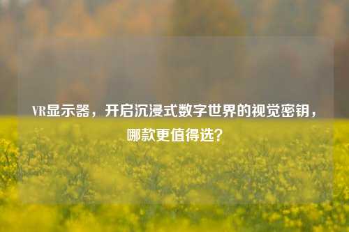 VR显示器，开启沉浸式数字世界的视觉密钥，哪款更值得选？