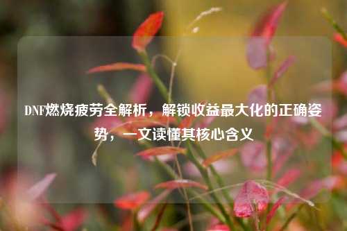 DNF燃烧疲劳全解析,解锁收益最大化的正确姿势,一文读懂其核心含义