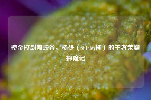 摸金校尉闯峡谷，杨少（Shirley杨）的王者荣耀探险记