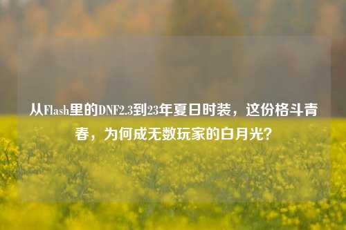 从Flash里的DNF2.3到23年夏日时装，这份格斗青春，为何成无数玩家的白月光？