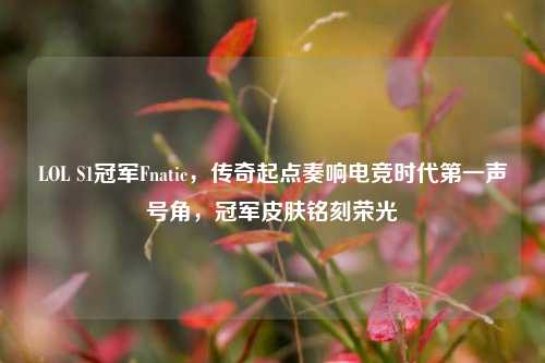 LOL S1冠军Fnatic，传奇起点奏响电竞时代第一声号角，冠军皮肤铭刻荣光
