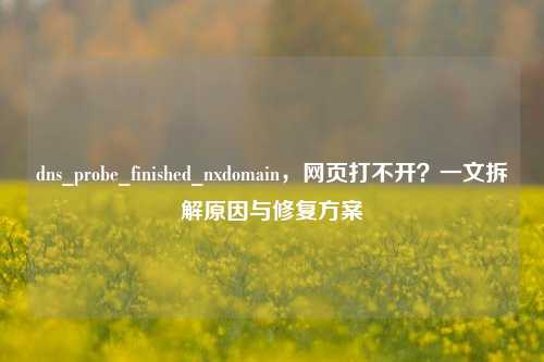 dns_probe_finished_nxdomain，网页打不开？一文拆解原因与修复方案