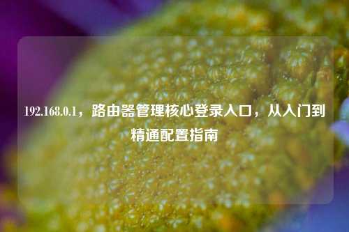 192.168.0.1，路由器管理核心登录入口，从入门到精通配置指南