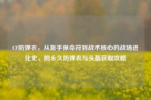 CF防弹衣,从新手保命符到战术核心的战场进化史,附永久防弹衣与头盔获取攻略