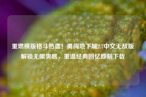 重燃横版格斗热血！勇闯地下城2.7中文无敌版解锁无限爽感，重温经典回忆即刻下载