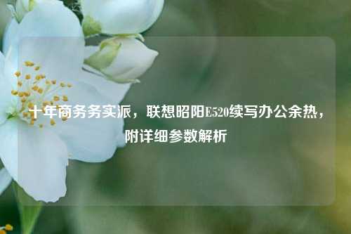 十年商务务实派，联想昭阳E520续写办公余热，附详细参数解析
