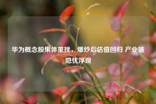 华为概念股集体重挫，爆炒后估值回归 产业链隐忧浮现