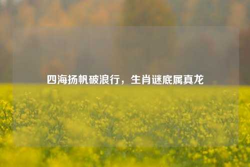 四海扬帆破浪行，生肖谜底属真龙