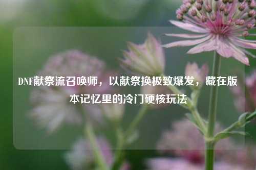 DNF献祭流召唤师，以献祭换极致爆发，藏在版本记忆里的冷门硬核玩法