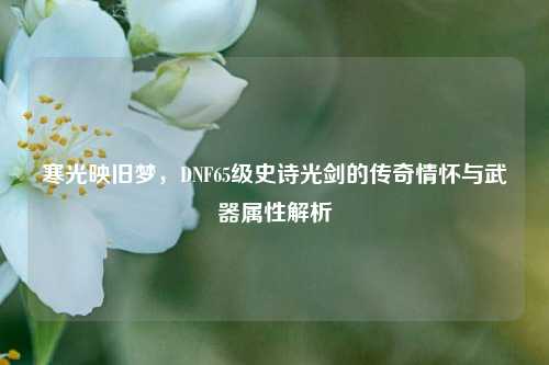 寒光映旧梦,DNF65级史诗光剑的传奇情怀与武器属性解析