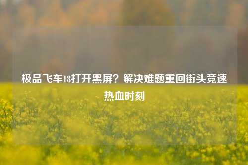 极品飞车18打开黑屏？解决难题重回街头竞速热血时刻