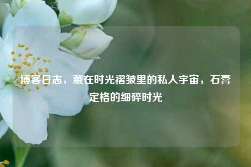 博客日志，藏在时光褶皱里的私人宇宙，石膏定格的细碎时光