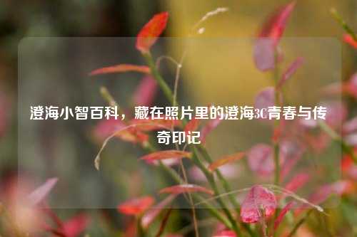 澄海小智百科，藏在照片里的澄海3C青春与传奇印记