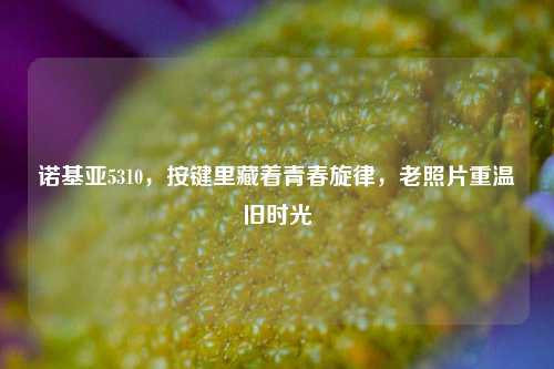 诺基亚5310,按键里藏着青春旋律,老照片重温旧时光