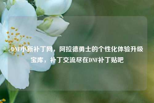 DNF小新补丁网，阿拉德勇士的个性化体验升级宝库，补丁交流尽在DNF补丁贴吧
