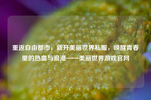 重返自由都市，新开美丽世界私服，唤醒青春里的热血与浪漫——美丽世界游戏官网