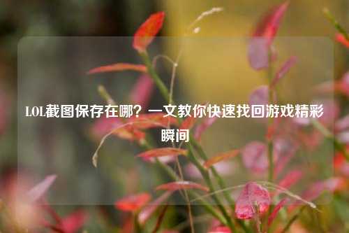 LOL截图保存在哪？一文教你快速找回游戏精彩瞬间