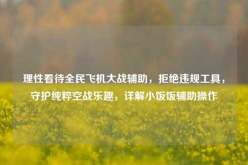 理性看待全民飞机大战辅助，拒绝违规工具，守护纯粹空战乐趣，详解小饭饭辅助操作