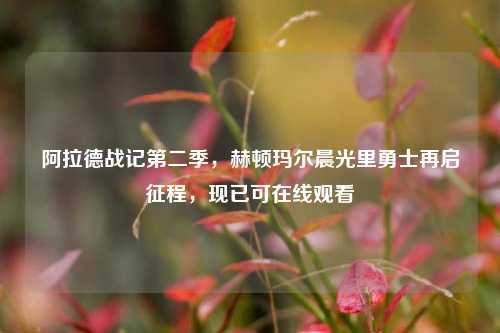 阿拉德战记第二季，赫顿玛尔晨光里勇士再启征程，现已可在线观看