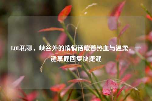LOL私聊,峡谷外的悄悄话藏着热血与温柔,一键掌握回复快捷键