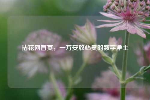 拈花网首页，一方安放心灵的数字净土