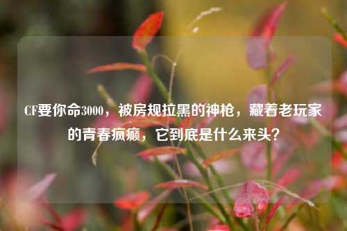 CF要你命3000，被房规拉黑的神枪，藏着老玩家的青春疯癫，它到底是什么来头？
